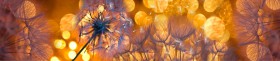 Кухонный фартук Мерцание Одуванчики золотистые 3 серебро в Куйбышеве - kujbyshev.katalogmebeli.com | фото